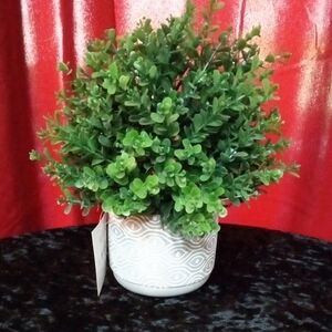 Vibrant Green Small-Leaved Gum Eucalyptus Green Faux  Accented in White/Gray Pot